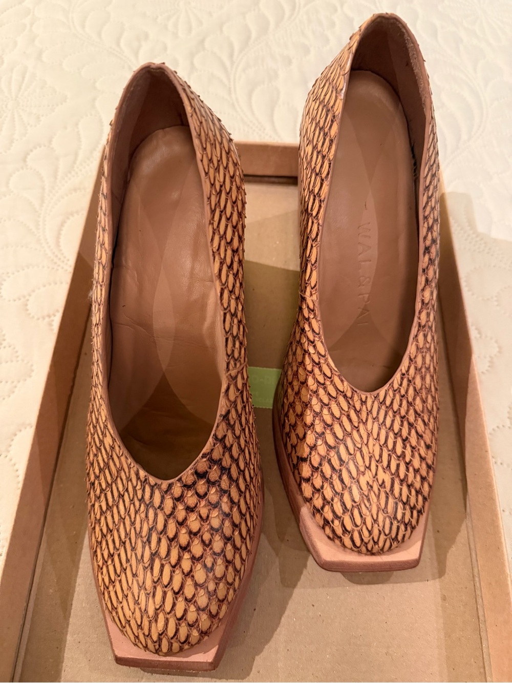 Wal & Pai Wade Pump In Burt Reptile